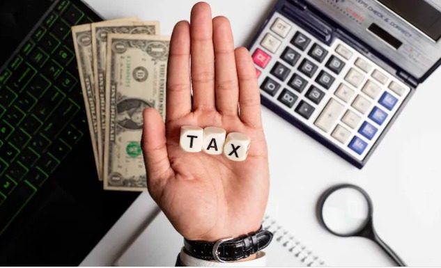 Budget 2025: 5 top expectations of senior citizens